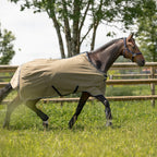 Dominick Vliegendeken + Halsdeel