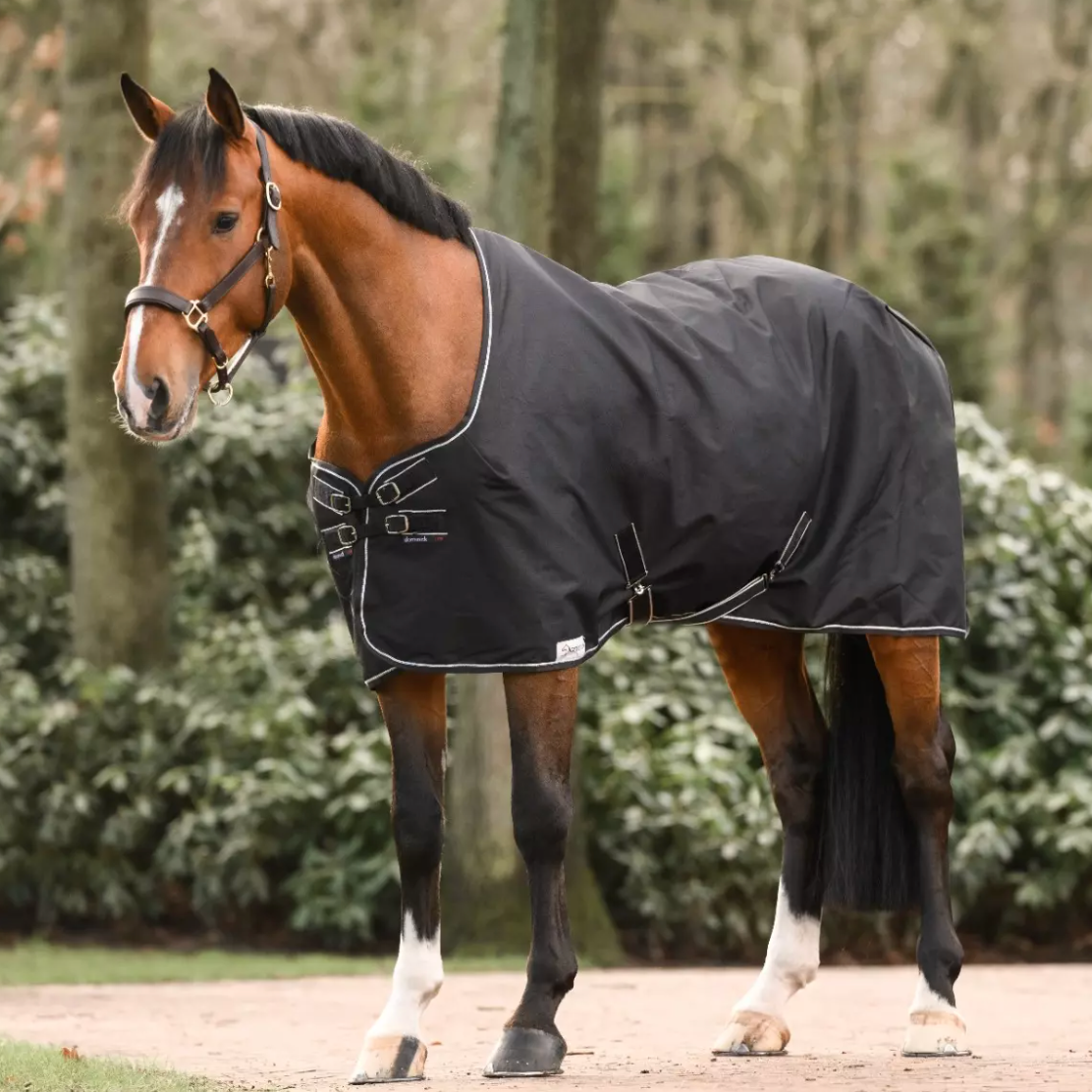 Dominick staldeken lite