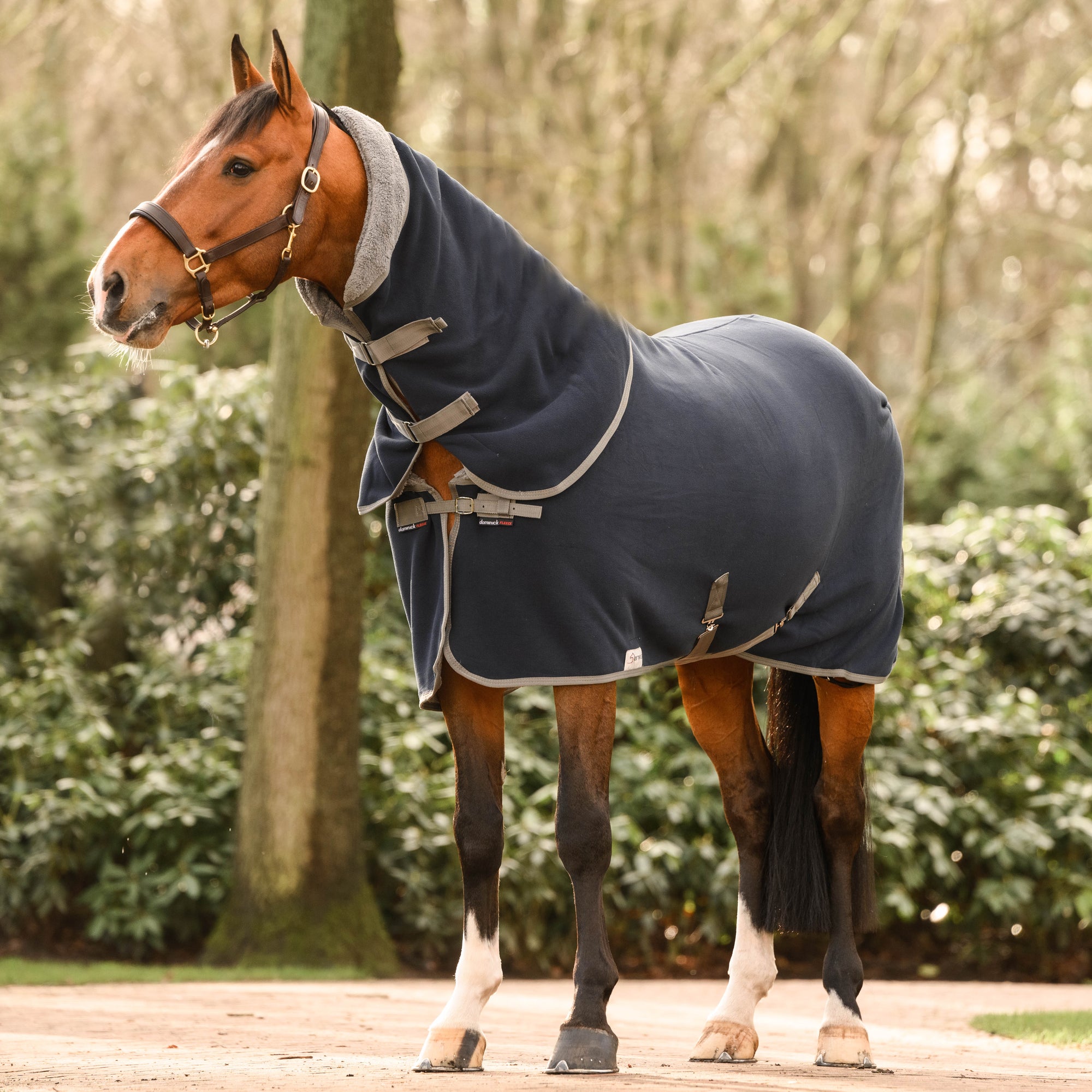 Dominick Fleecedeken Cosy