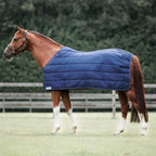 Dominick liner 300GR