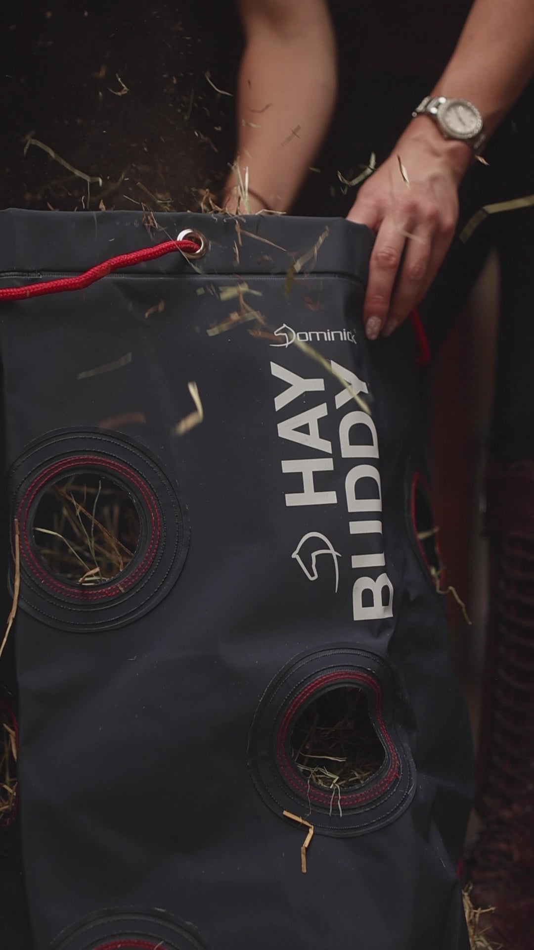 Dominick Hay Buddy Trailer